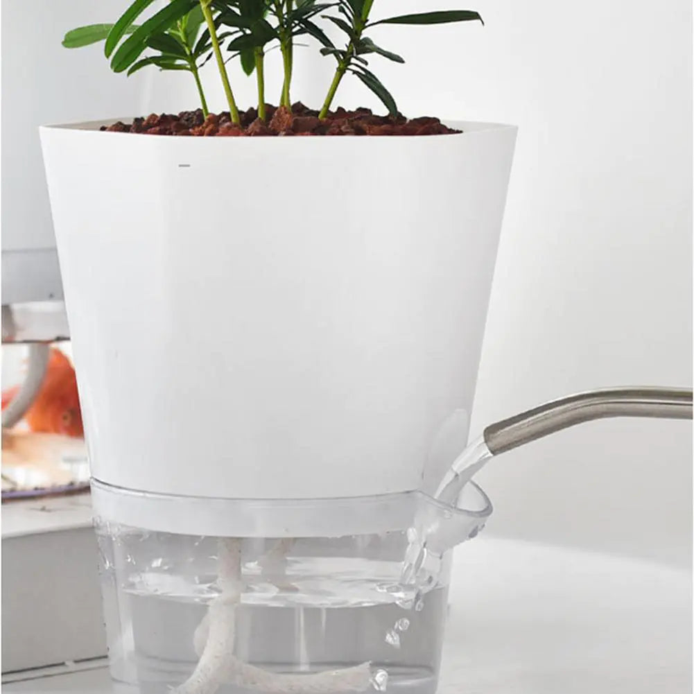 Automatic Water-Absorbing Flowerpot - Olivell