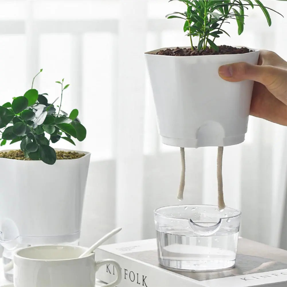 Automatic Water-Absorbing Flowerpot - Olivell