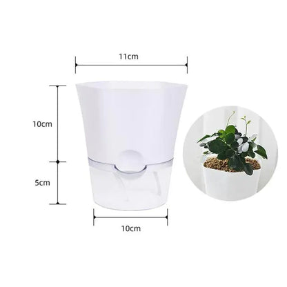 Automatic Water-Absorbing Flowerpot - Olivell